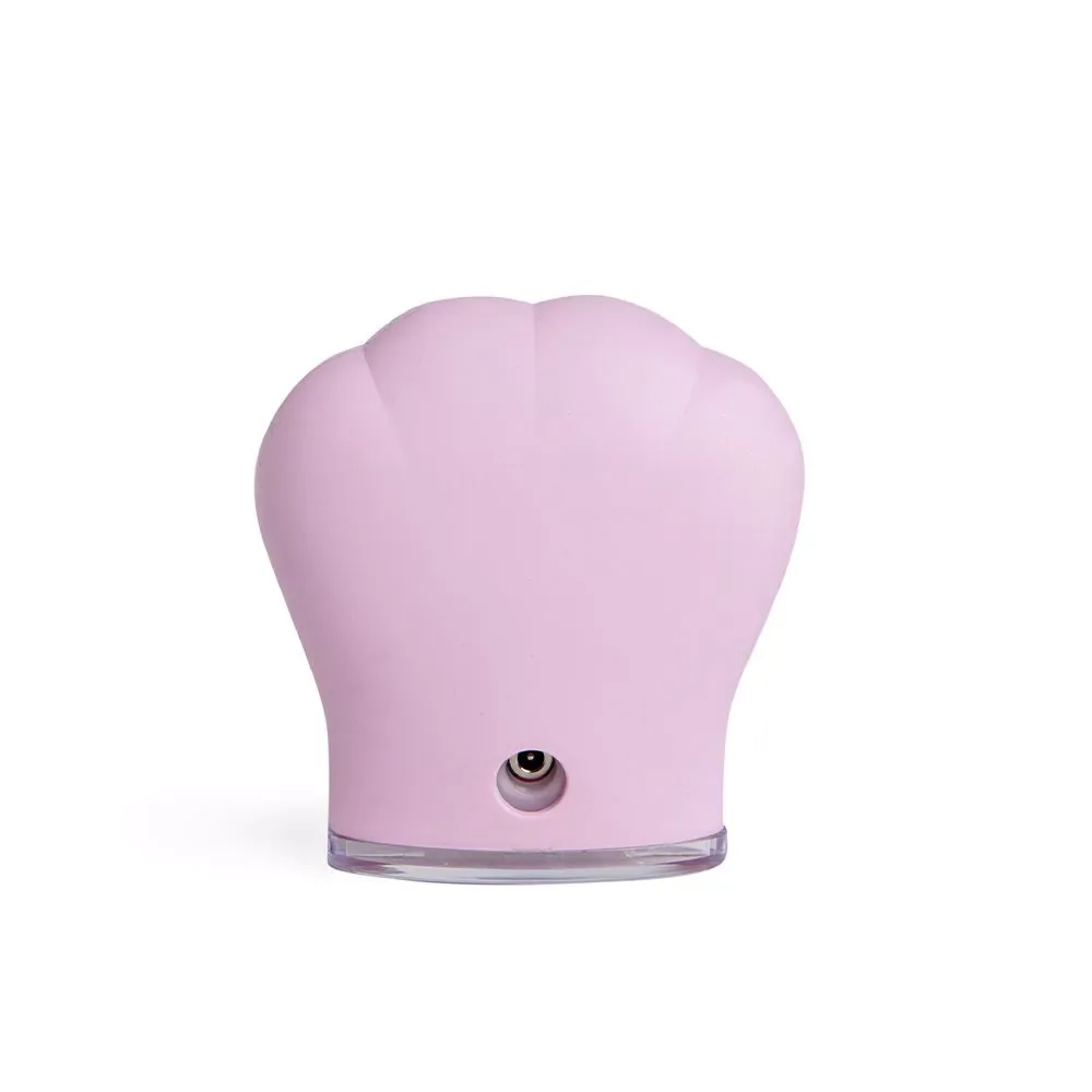 Idc Institute SKIN cleansing brush